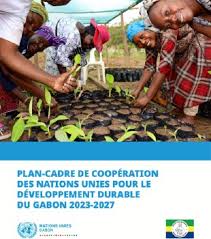 cadre de coopération des nations unies pour le développement durable