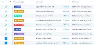 positionnement référencement