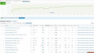 positionnement referencement google