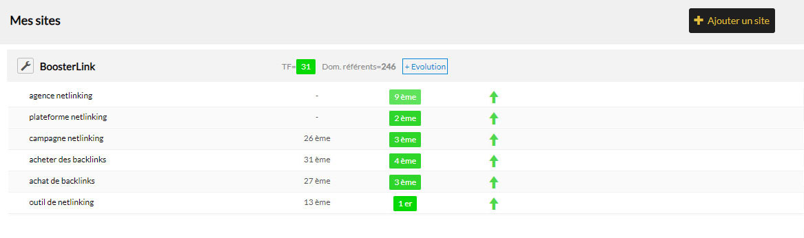 verifier position google