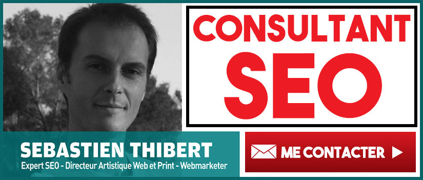 consultant referencement