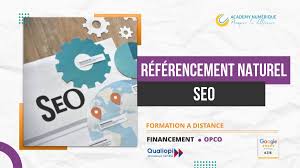 seo référencement naturel