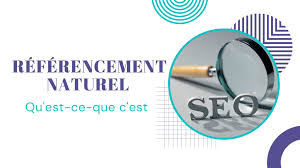 référencement naturel