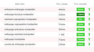 optimisation référencement naturel