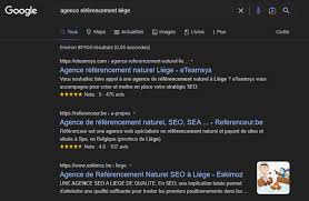 agence web referencement naturel
