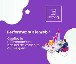 expert referencement